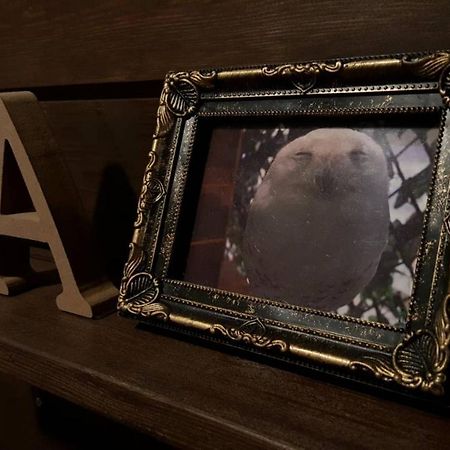 An An Guest Inn Наха Экстерьер фото